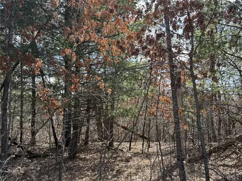 lot3 Olson Dr, Fall Creek, WI 54742