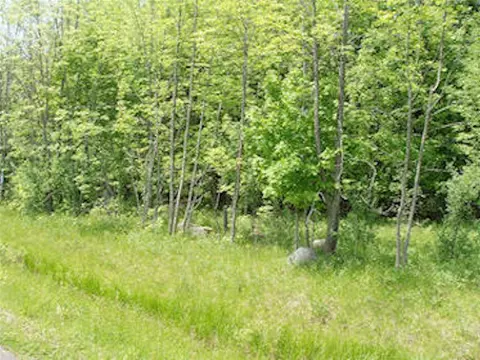 lot13 Margaret Ln, Park Falls, WI 54552
