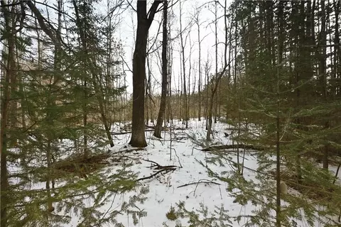 0 1st St, Trego, WI 54888