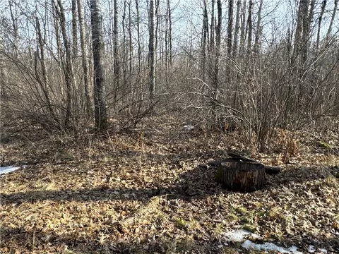 10501 N County Highway M, Springbrook, WI 54875 photo 10