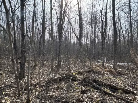 10501 N County Highway M, Springbrook, WI 54875 photo 33