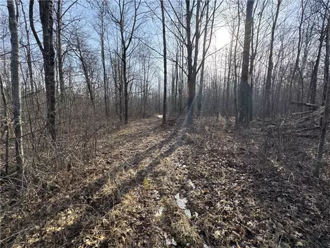 10501 N County Highway M, Springbrook, WI 54875 photo 11