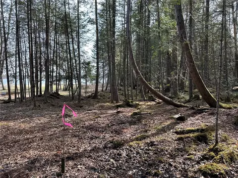 0 Willy Rd, Weyerhaeuser, WI 54895 photo 25