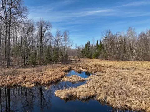 0 Willy Rd, Weyerhaeuser, WI 54895 photo 16