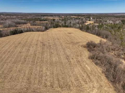 0 Willy Rd, Weyerhaeuser, WI 54895 photo 11