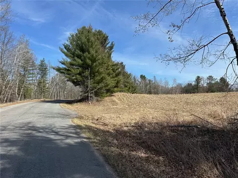 0 Willy Rd, Weyerhaeuser, WI 54895 photo 28
