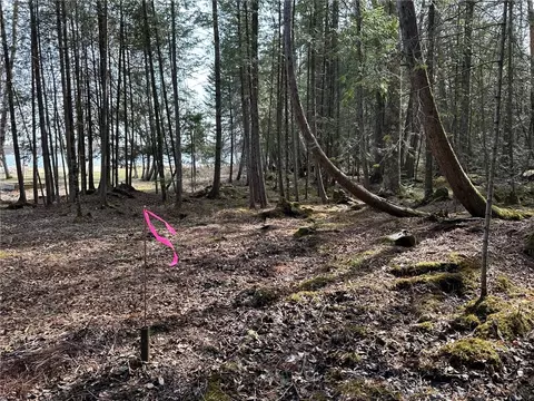 0 Willy Rd, Weyerhaeuser, WI 54895 photo 26