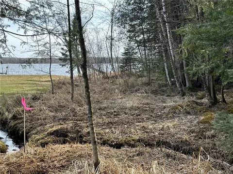 0 Willy Rd, Weyerhaeuser, WI 54895 photo 24