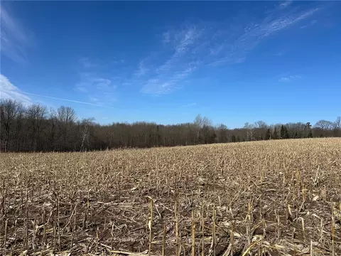 0 Willy Rd, Weyerhaeuser, WI 54895 photo 13