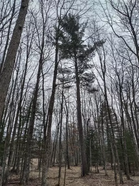 lot1 Nnn Blaisziks Bay Ln, Hayward, WI 54843