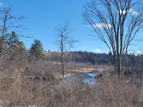 On Hwy 70, Couderay, WI 54825