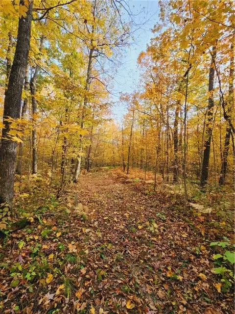 Nnn 300th Avenue County Road W, Frederic, WI 54837
