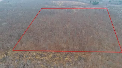 40 Acres Dickerson Ave, Thorp, WI 54771 photo 3