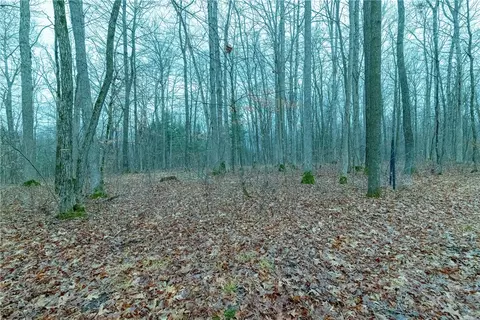 40 Acres Dickerson Ave, Thorp, WI 54771 photo 5