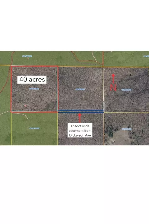 40 Acres Dickerson Ave, Thorp, WI 54771 photo 2