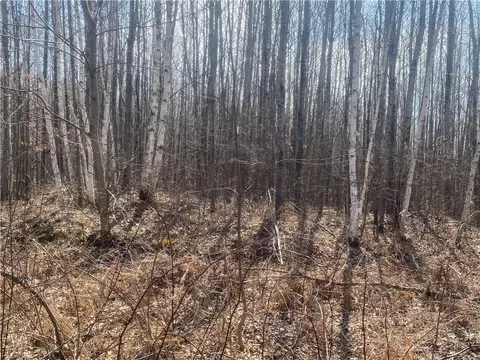 On Up River Road, Phillips, WI 54555 photo 5