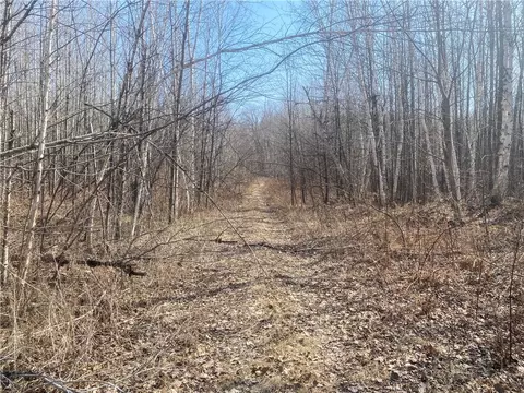 On Up River Road, Phillips, WI 54555