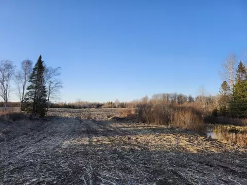 Other - w8720 Camp 5 Road, Phillips, WI 54555 photo 8 of 13
