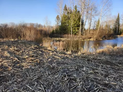 View/Area - w8720 Camp 5 Road, Phillips, WI 54555 photo 1 of 1