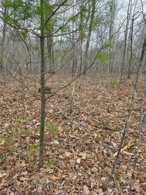 lot8 Lukes Ln, Danbury, WI 54830