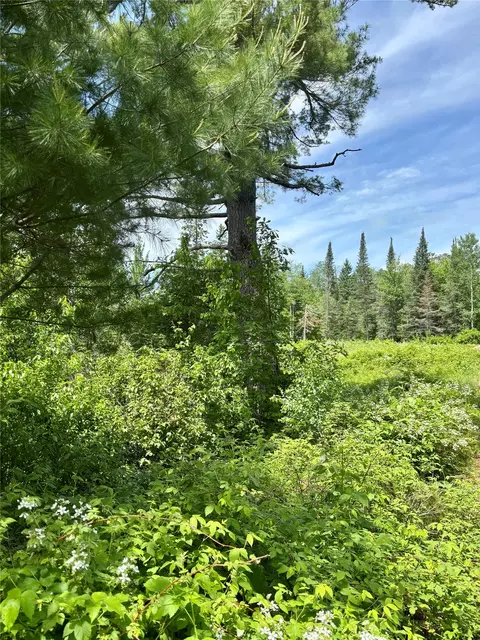 16550 W Ridgerock Rd, Hayward, WI 54843