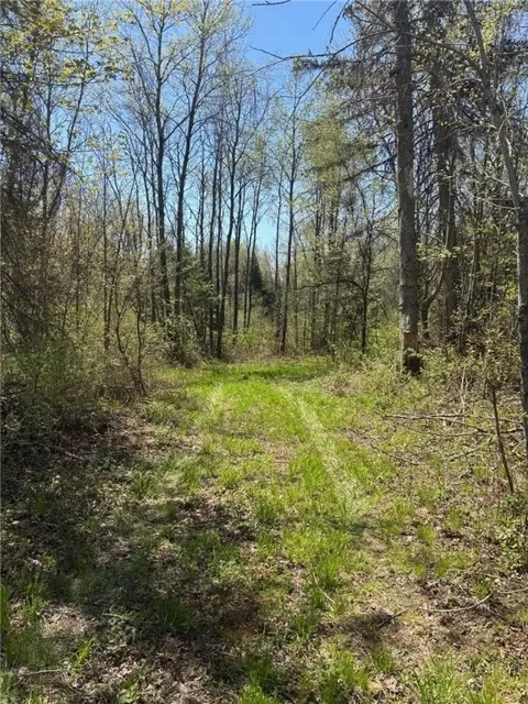 0 Smith Rd, Exeland, WI 54835 photo 2