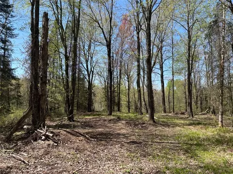 0 Smith Rd, Exeland, WI 54835