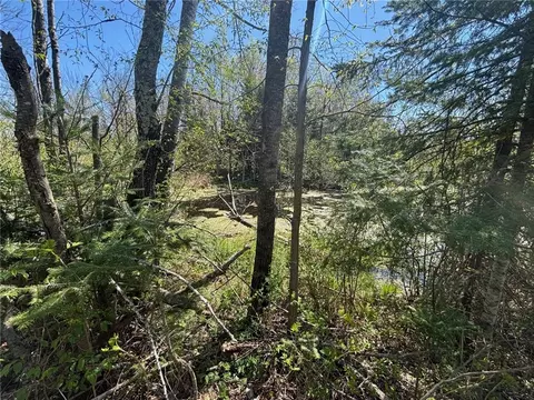 0 Smith Rd, Exeland, WI 54835 photo 5