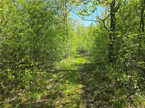 2664 14th Ave, Cameron, WI 54822 photo 14
