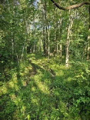 530 335th Ave, Frederic, WI 54837 photo 30