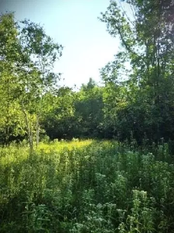 530 335th Ave, Frederic, WI 54837 photo 19