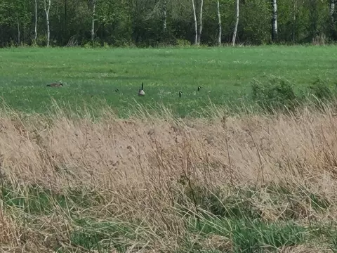 W6653 Cth O, Prentice, WI 54556 photo 31