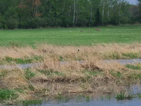 W6653 Cth O, Prentice, WI 54556 photo 30