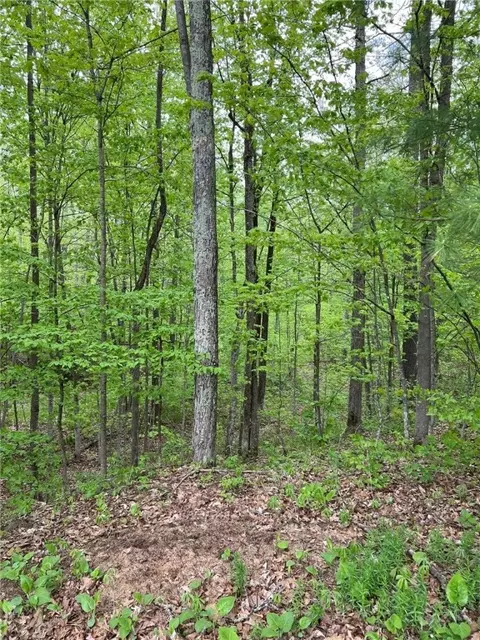 Other - W 4670 County Highway F, Springbrook, WI 54875 photo 2 of 6