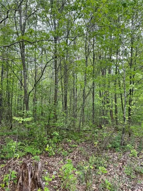Other - W 4670 County Highway F, Springbrook, WI 54875 photo 3 of 6