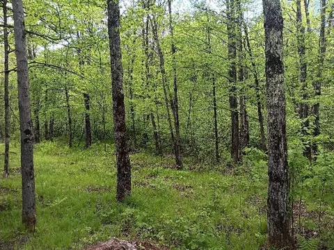 N10095 Woodland Lane, Phillips, WI 54555