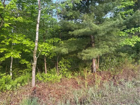 0 Highway 12, Merrillan, WI 54754