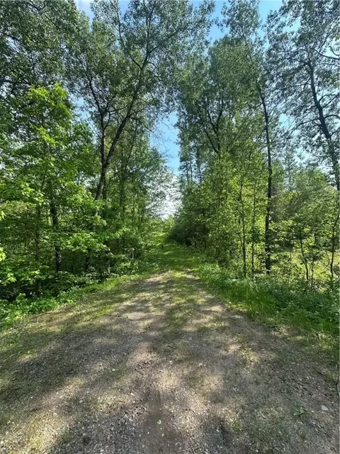 31 54 Acres Timber Wolf Dr, Hayward, WI 54843
