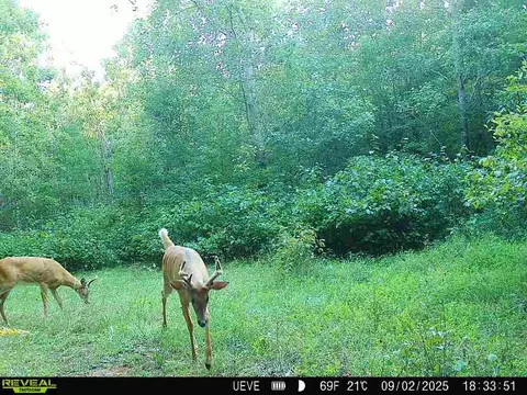 000 Oak Rd, Shell Lake, WI 54871 photo 12