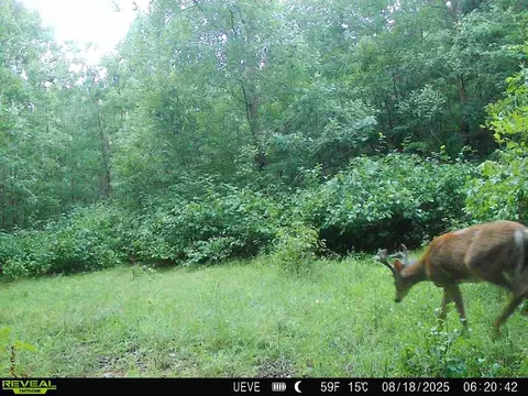 000 Oak Rd, Shell Lake, WI 54871 photo 15