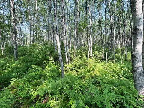 486 02 Acres Cemetery Rd, Radisson, WI 54867 photo 16