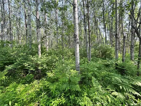 486 02 Acres Cemetery Rd, Radisson, WI 54867 photo 19
