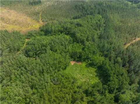 486 02 Acres Cemetery Rd, Radisson, WI 54867 photo 12