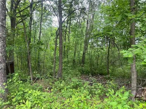 7968 County Road F, Danbury, WI 54830