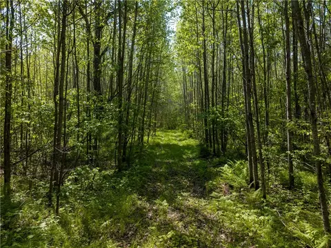 70 Acres County Highway M, Cable, WI 54821 photo 6