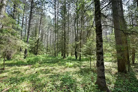 70 Acres County Highway M, Cable, WI 54821 photo 24