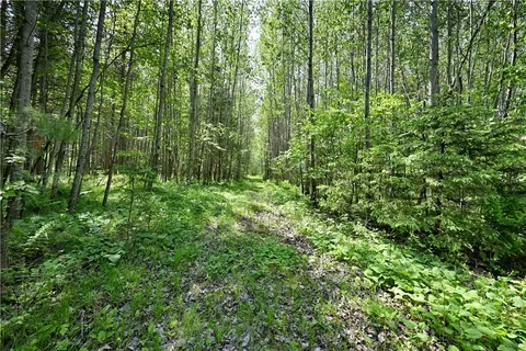 70 Acres County Highway M, Cable, WI 54821 photo 25