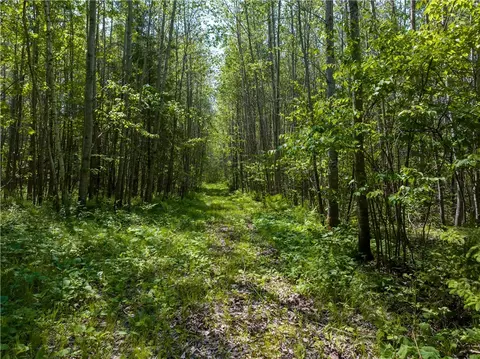 70 Acres County Highway M, Cable, WI 54821 photo 5