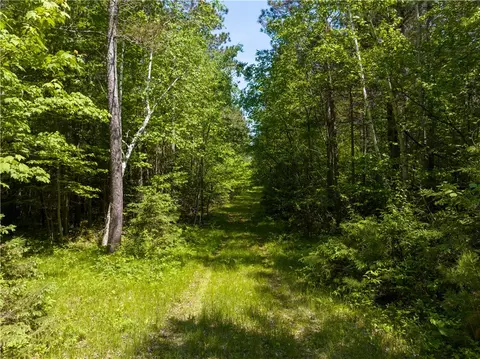 70 Acres County Highway M, Cable, WI 54821 photo 7