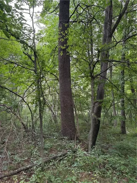 20 Acres 22 14 St, Chetek, WI 54728 photo 3